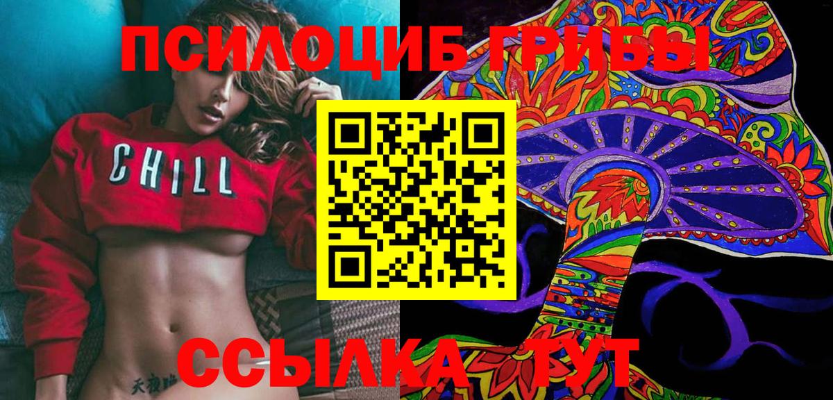 Псилоцибиновые грибы Cubensis Чебоксары