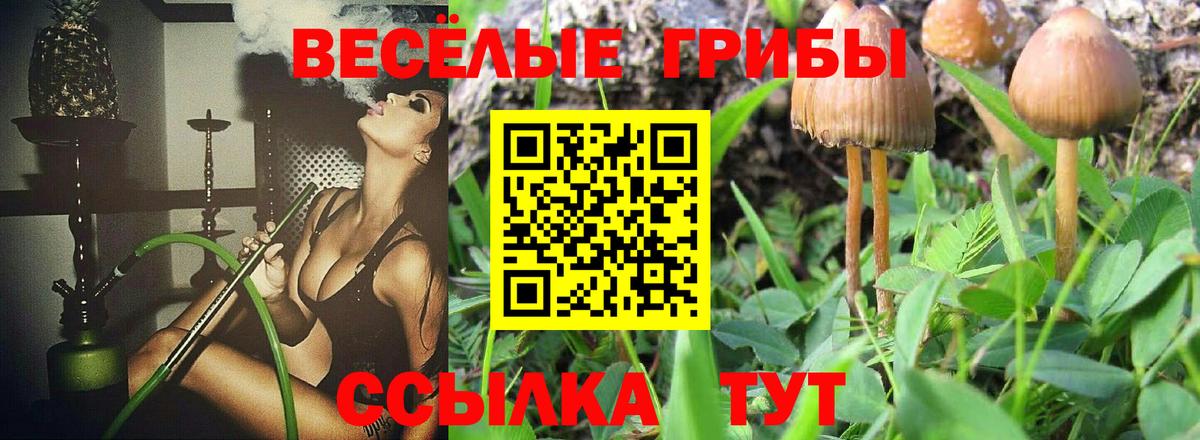 Чебоксары  Галлюциногенные грибы MAGIC MUSHROOMS  Вход с VPN 